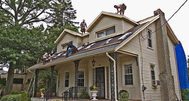 Best Roof Gutter Cleaning  in Wailua Homesteads, HI
